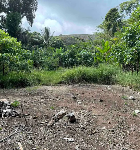 $179,000 | 0 Kamehameha V Highway, Unit 1B, Kaunakakai, HI 96748