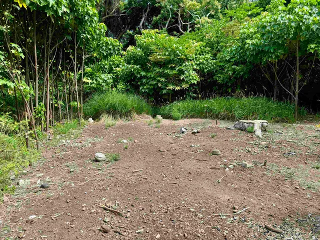 $179,000 | 0 Kamehameha V Highway, Unit 1B, Kaunakakai, HI 96748