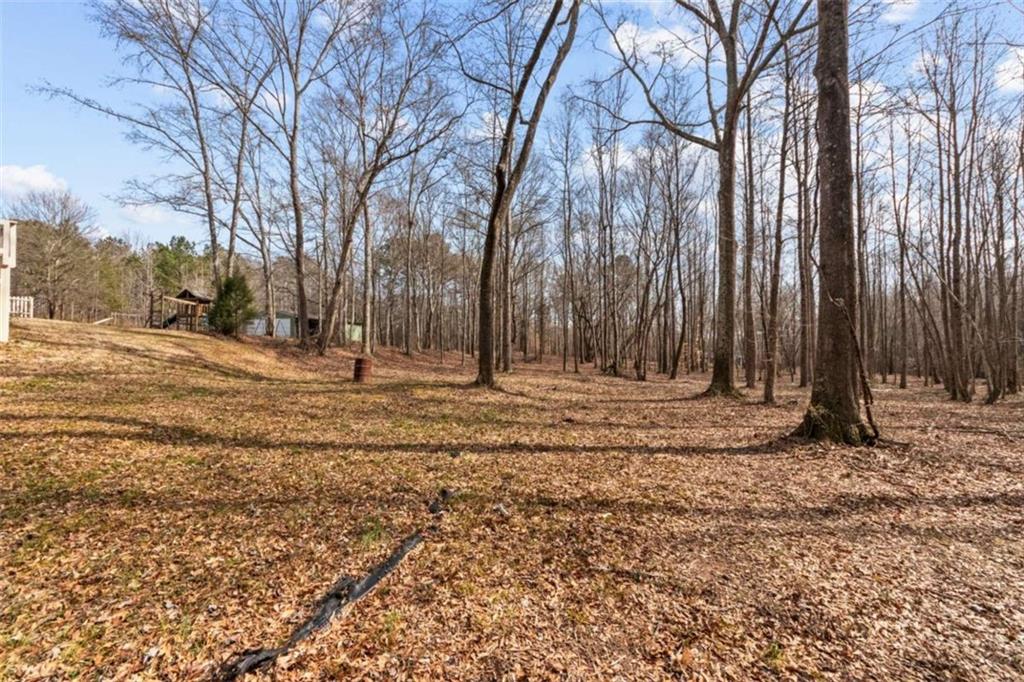 1023 Center Point Road Carrollton, GA 30117 - Photo 30 of 50