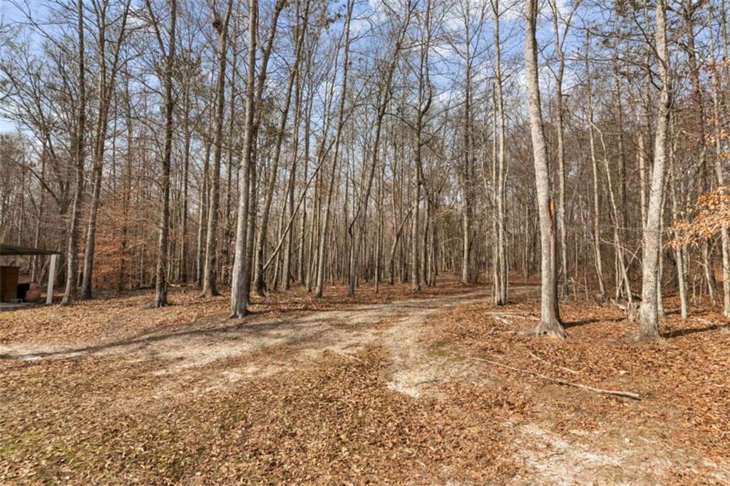 1023 Center Point Road Carrollton, GA 30117 - Photo 33 of 50