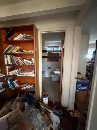 a view of backyard of house