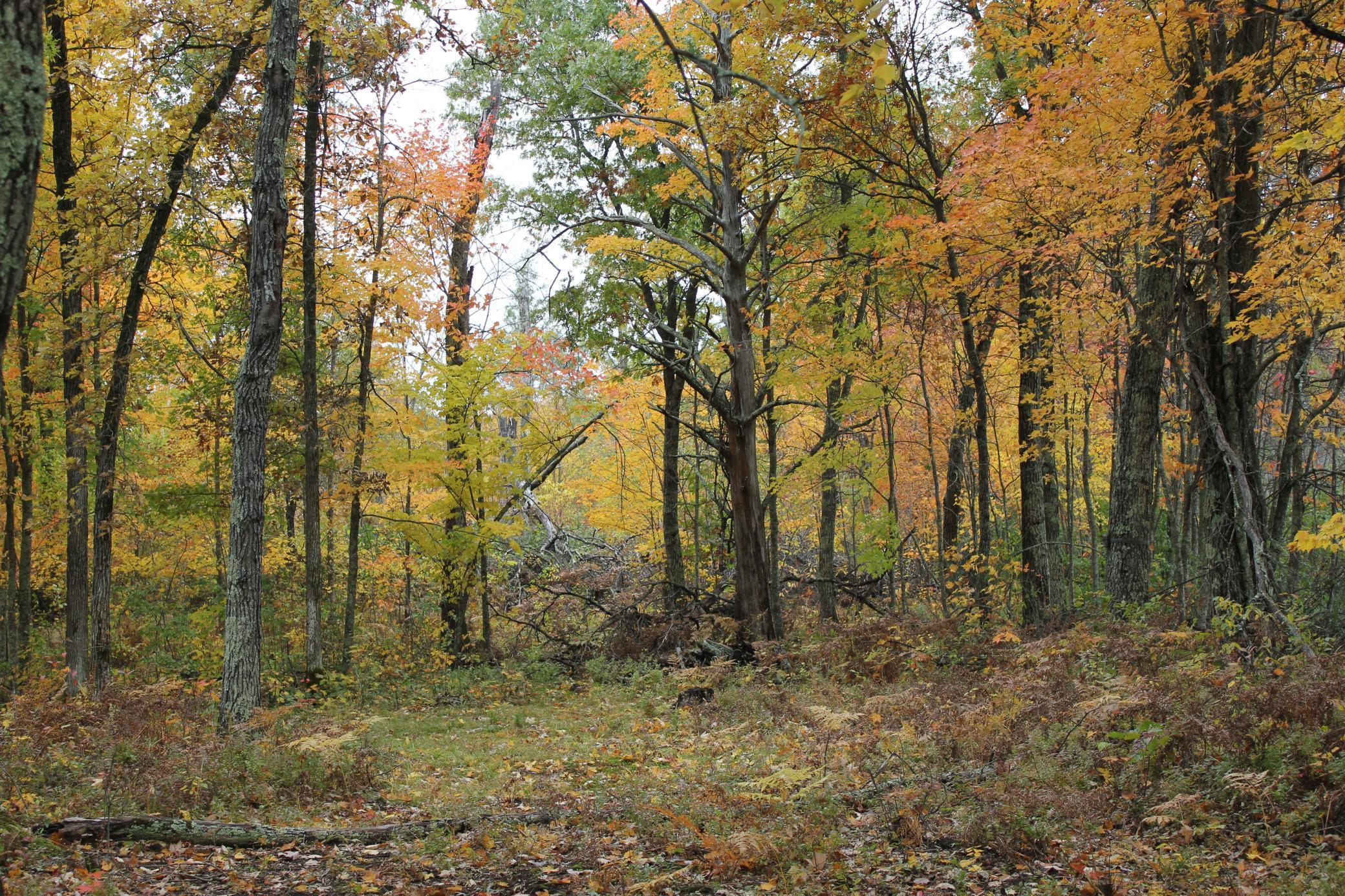 1-xxx Perida Road Webster, WI 54893 - Photo 5 of 30 Gallery Image 5