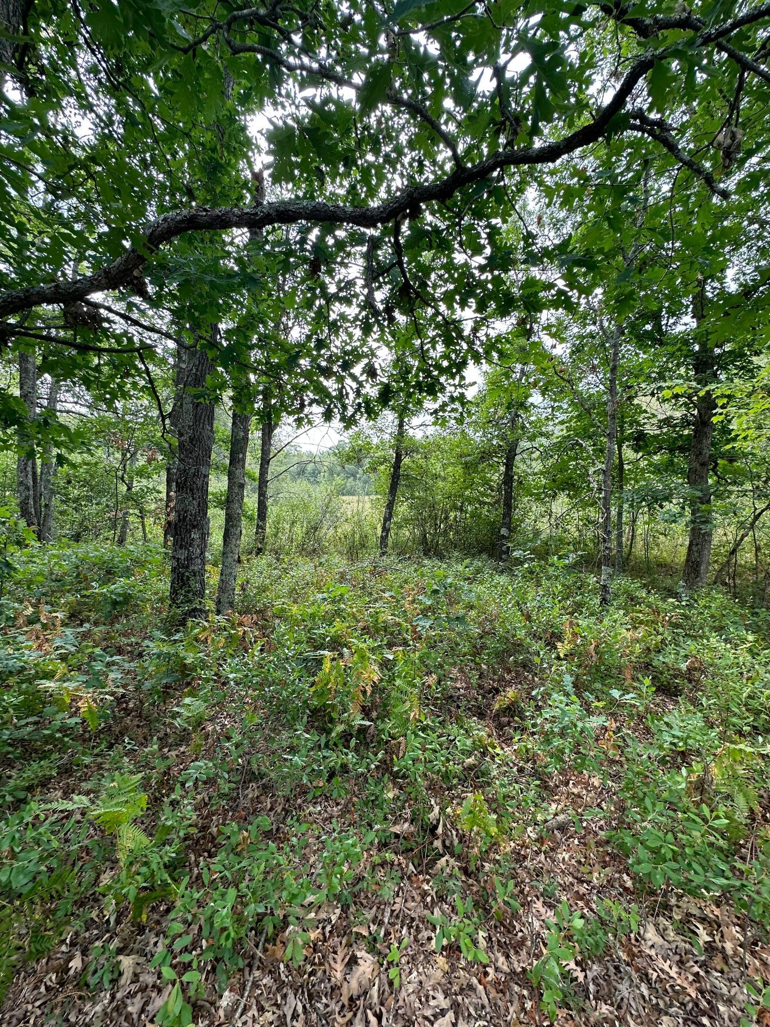 1-xxx Perida Road Webster, WI 54893 - Photo 8 of 30 Gallery Image 8