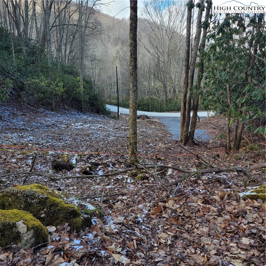 1463 Pine Ridge Road Beech Mountain, NC 28604 - Photo 17 of 21 Gallery Image 17