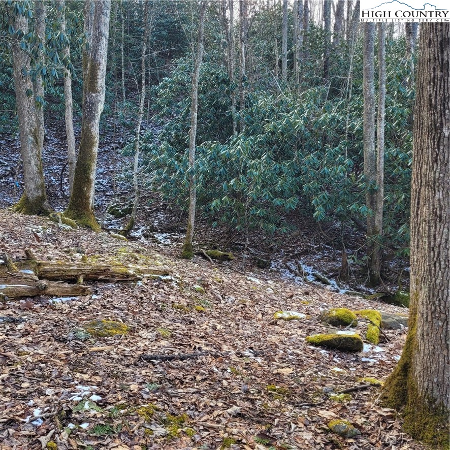 1463 Pine Ridge Road Beech Mountain, NC 28604 - Photo 19 of 21 Gallery Image 19