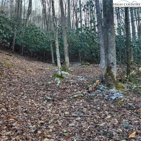 $70,000 | 1463 Pine Ridge Road, Beech Mountain, NC 28604