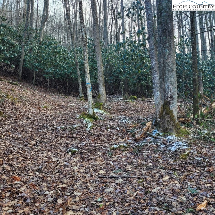 1463 Pine Ridge Road Beech Mountain, NC 28604 - Photo 21 of 21 Gallery Image 21
