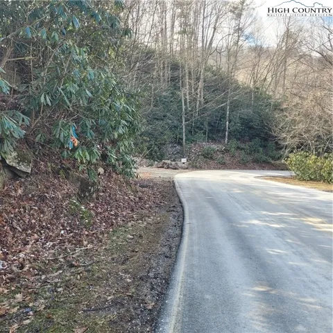 a view of road with large trees