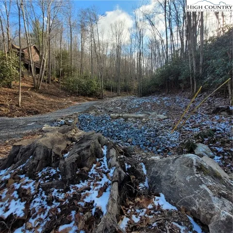 a view of a yard with plants