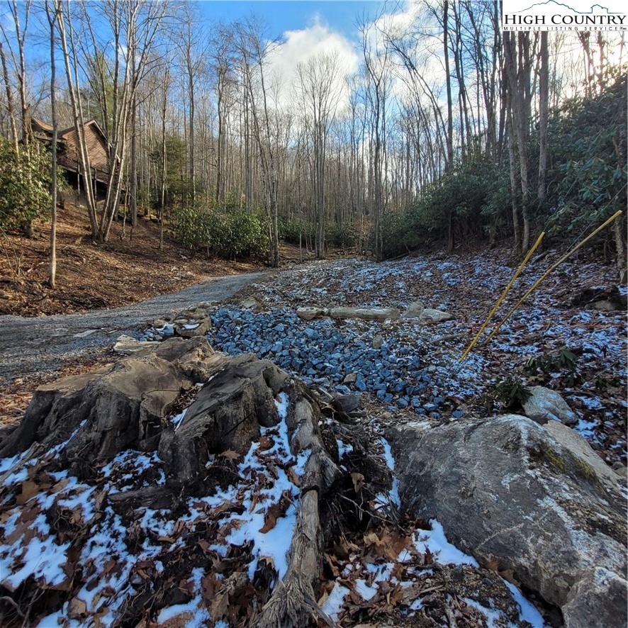 1463 Pine Ridge Road Beech Mountain, NC 28604 - Photo 8 of 21 Gallery Image 8