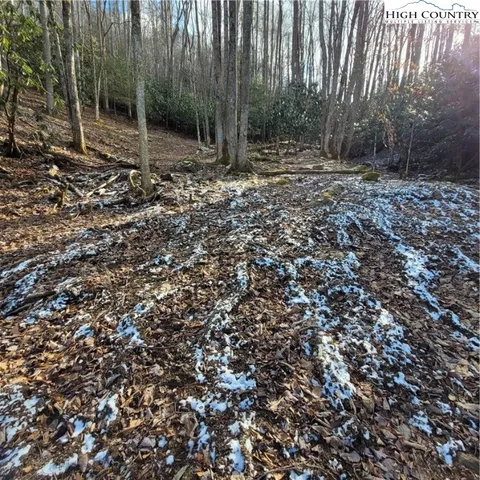 a view of a yard with plants and a trees