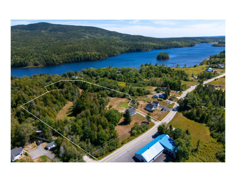 1455 Tremont Road Seal Cove, ME 04674 - Photo 5 of 33 Aerial