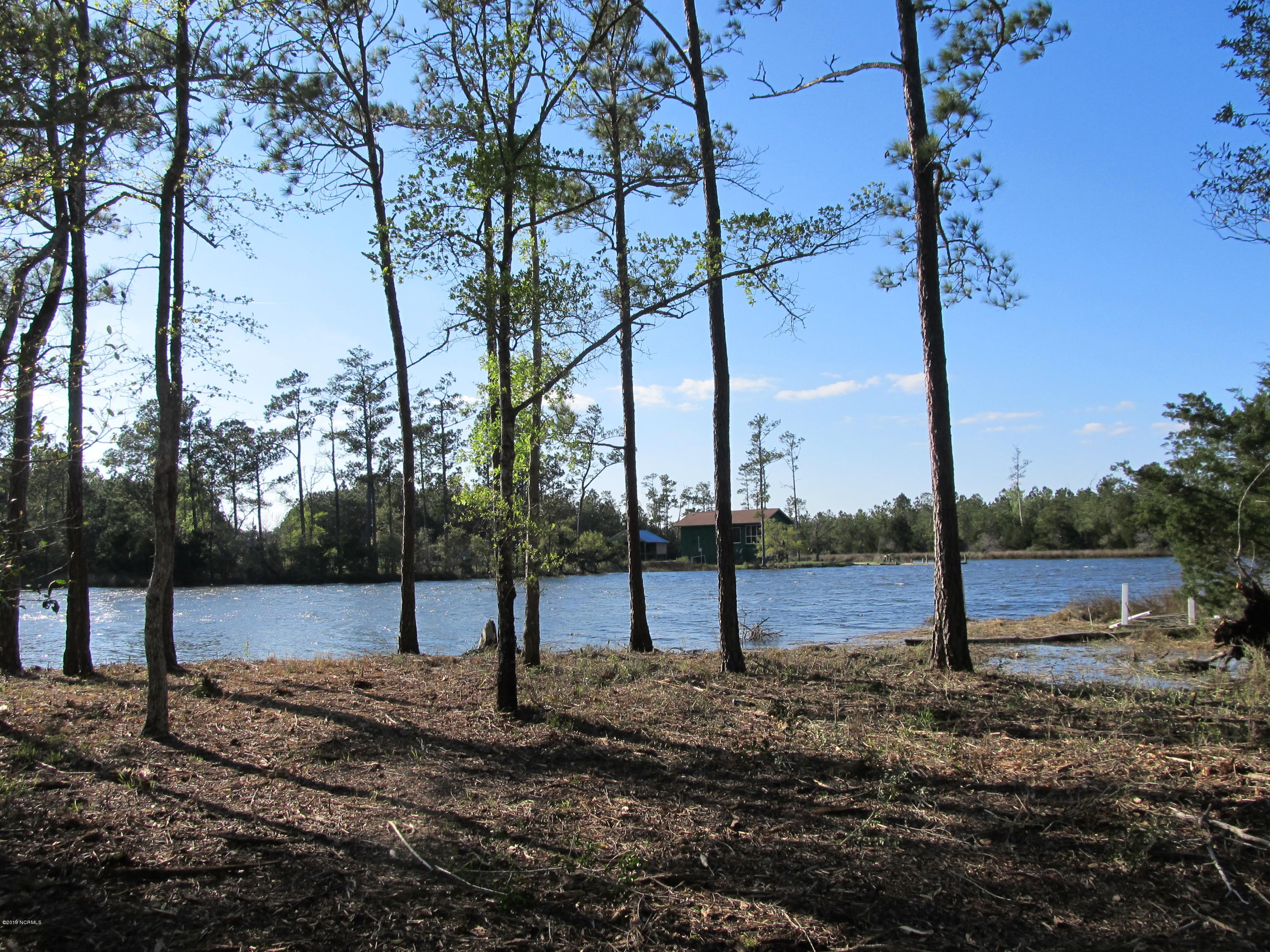 7421 Florence Road Merritt, NC 28556 - Photo 4 of 12 On Protected Riggs Creeks