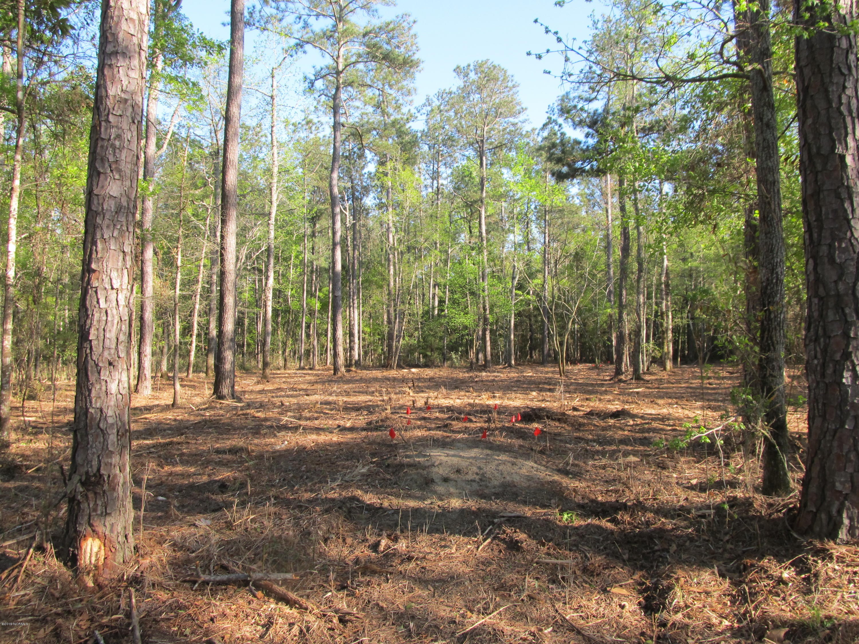 7421 Florence Road Merritt, NC 28556 - Photo 8 of 12 Rare Find w/ Power 7 Co Water Available