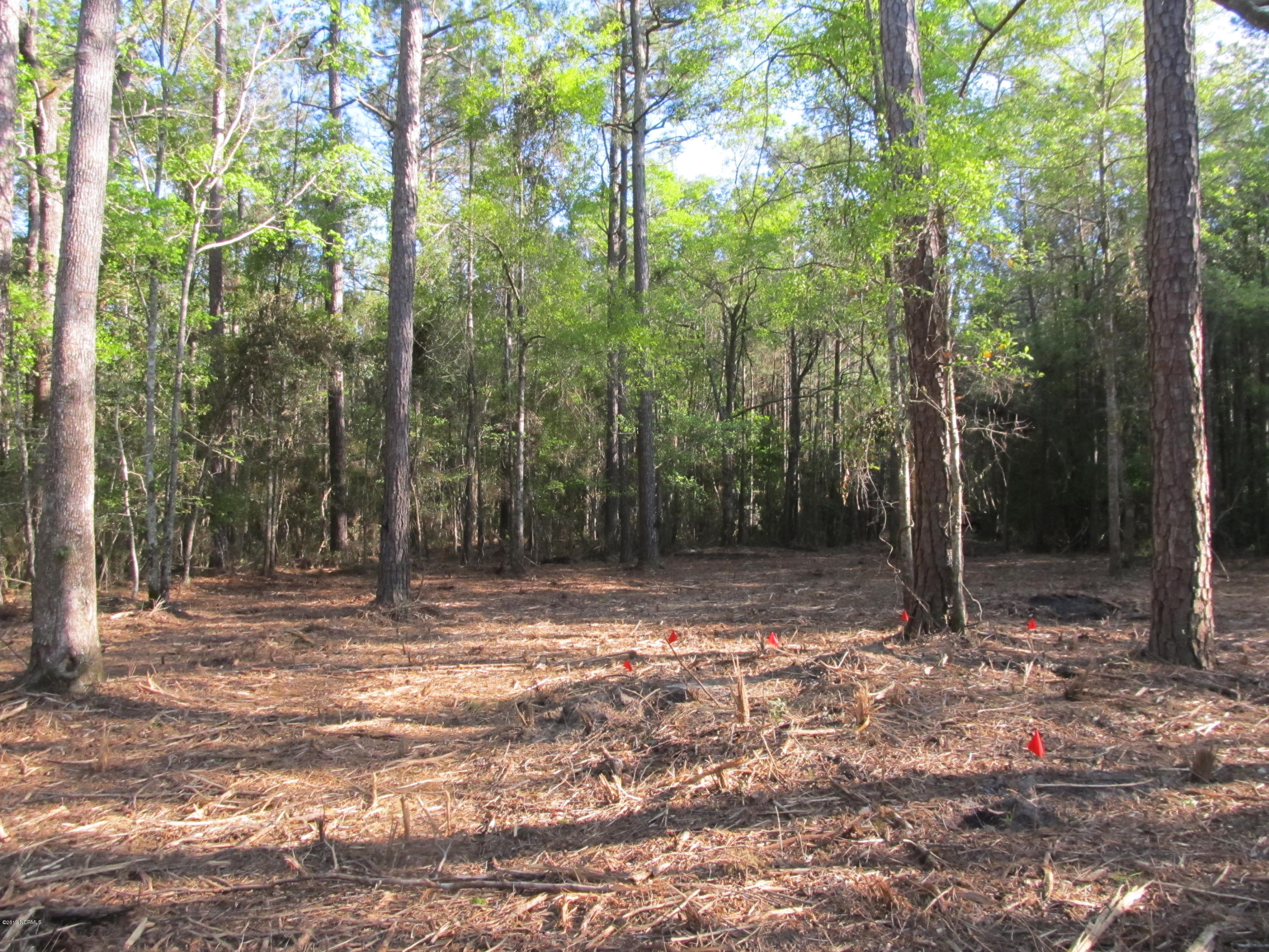7421 Florence Road Merritt, NC 28556 - Photo 9 of 12 Off Florence Road