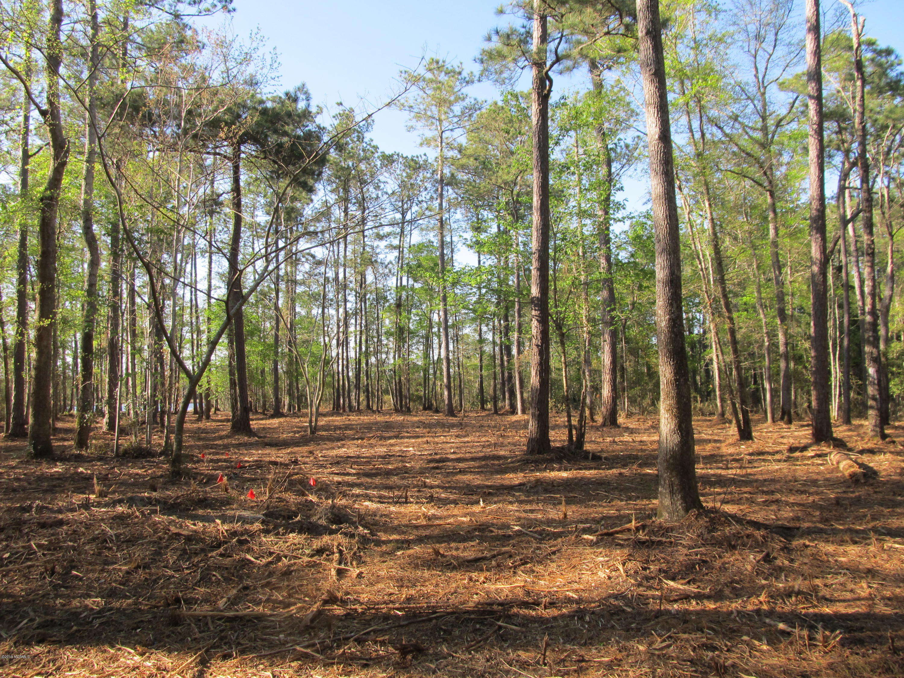7421 Florence Road Merritt, NC 28556 - Photo 10 of 12 Existing Septic System
