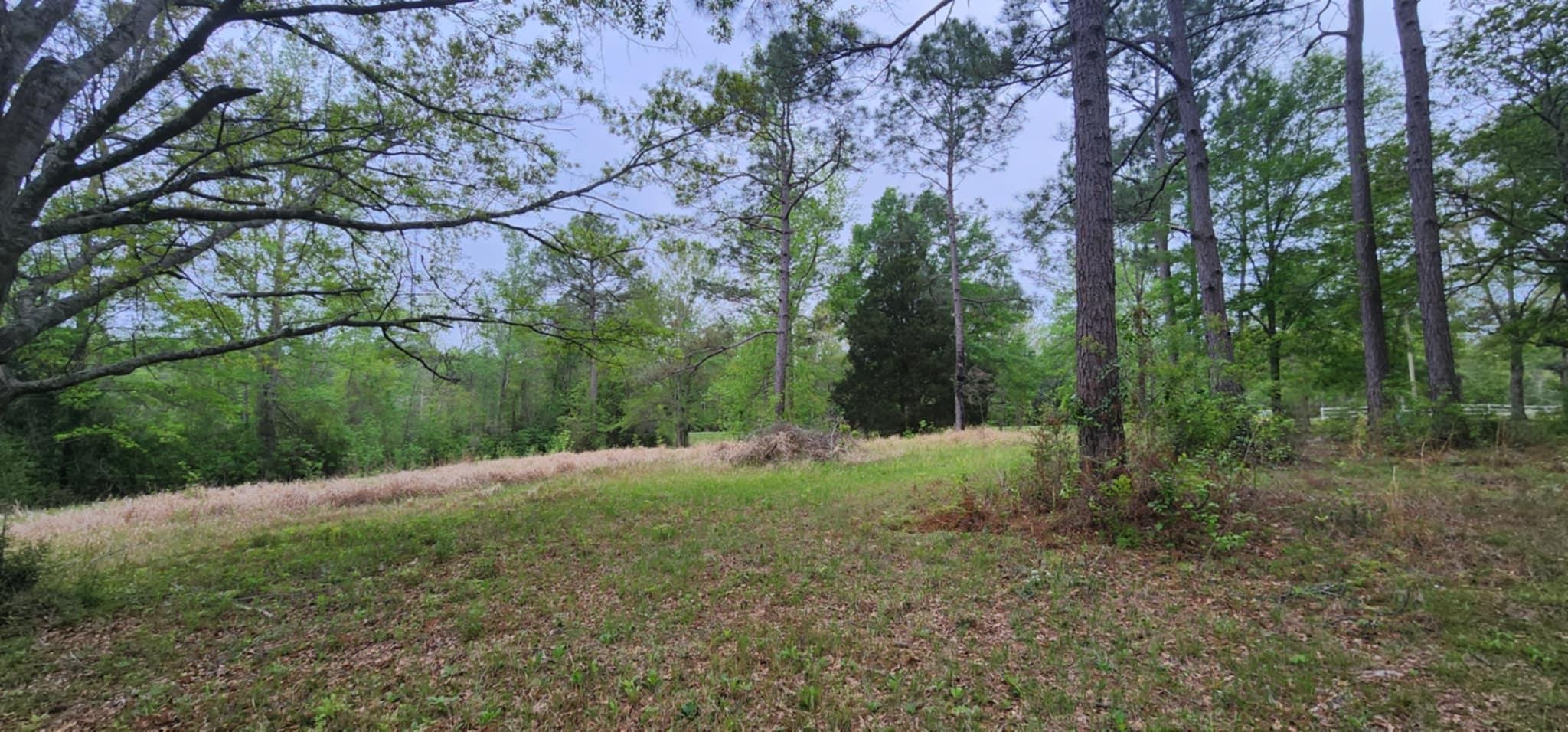 24407 Patterson Road Robertsdale, AL 36567 - Photo 5 of 18 View