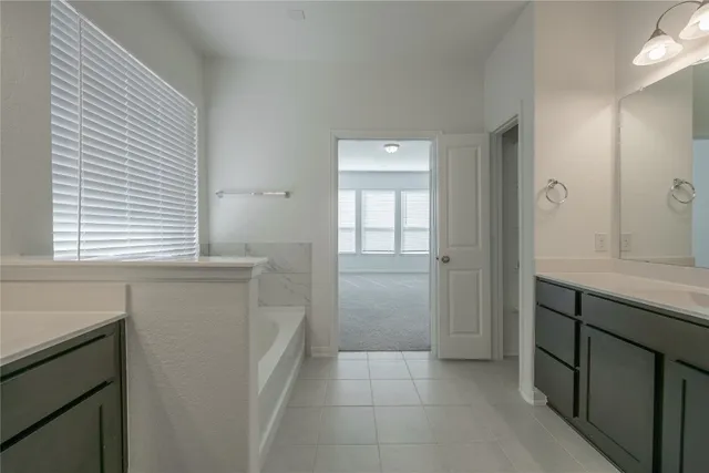 a bathroom with a sink and a vanity
