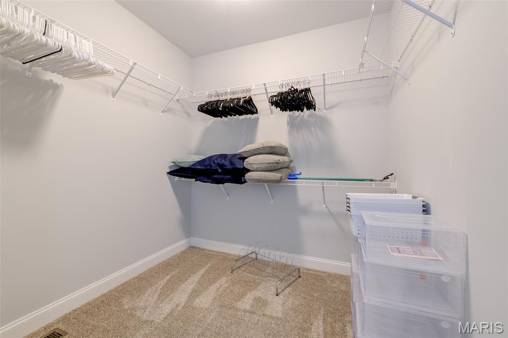 104 Hvn Rdg Court Dardenne Prairie, MO 63368 - Photo 43 of 74