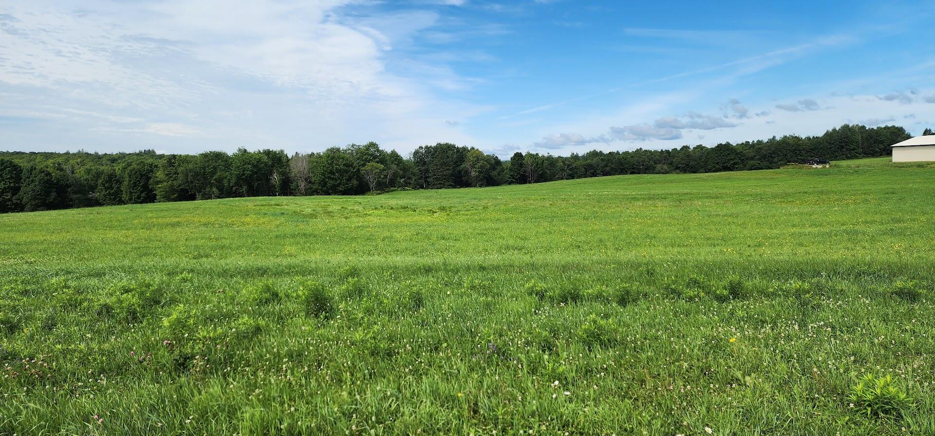 176 Rebel Hill Road Merrill, ME 04780 - Photo 3 of 29 20240806_094916