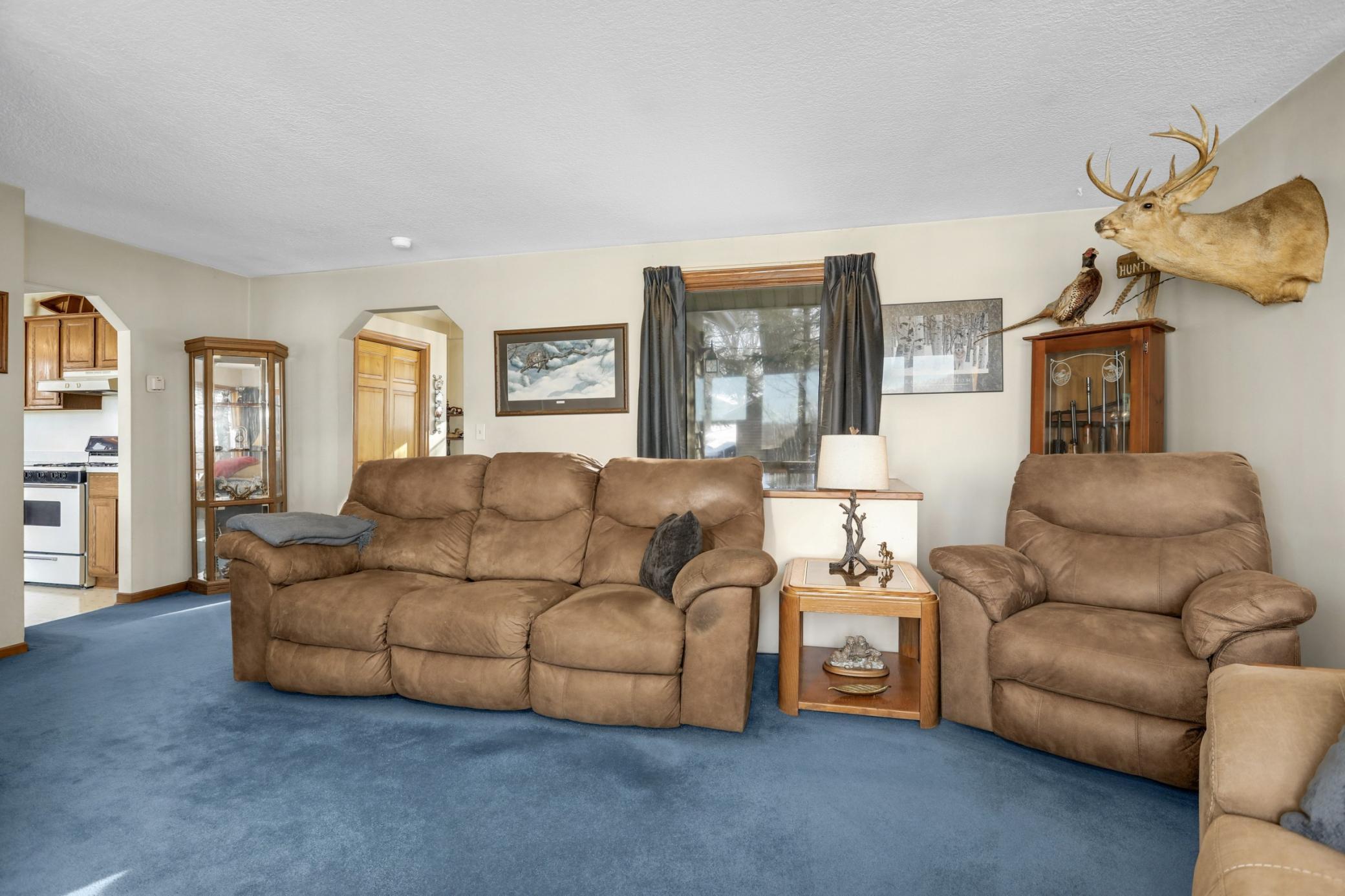 6240 Red Oak Road Mound, MN 55364 - Photo 6 of 29