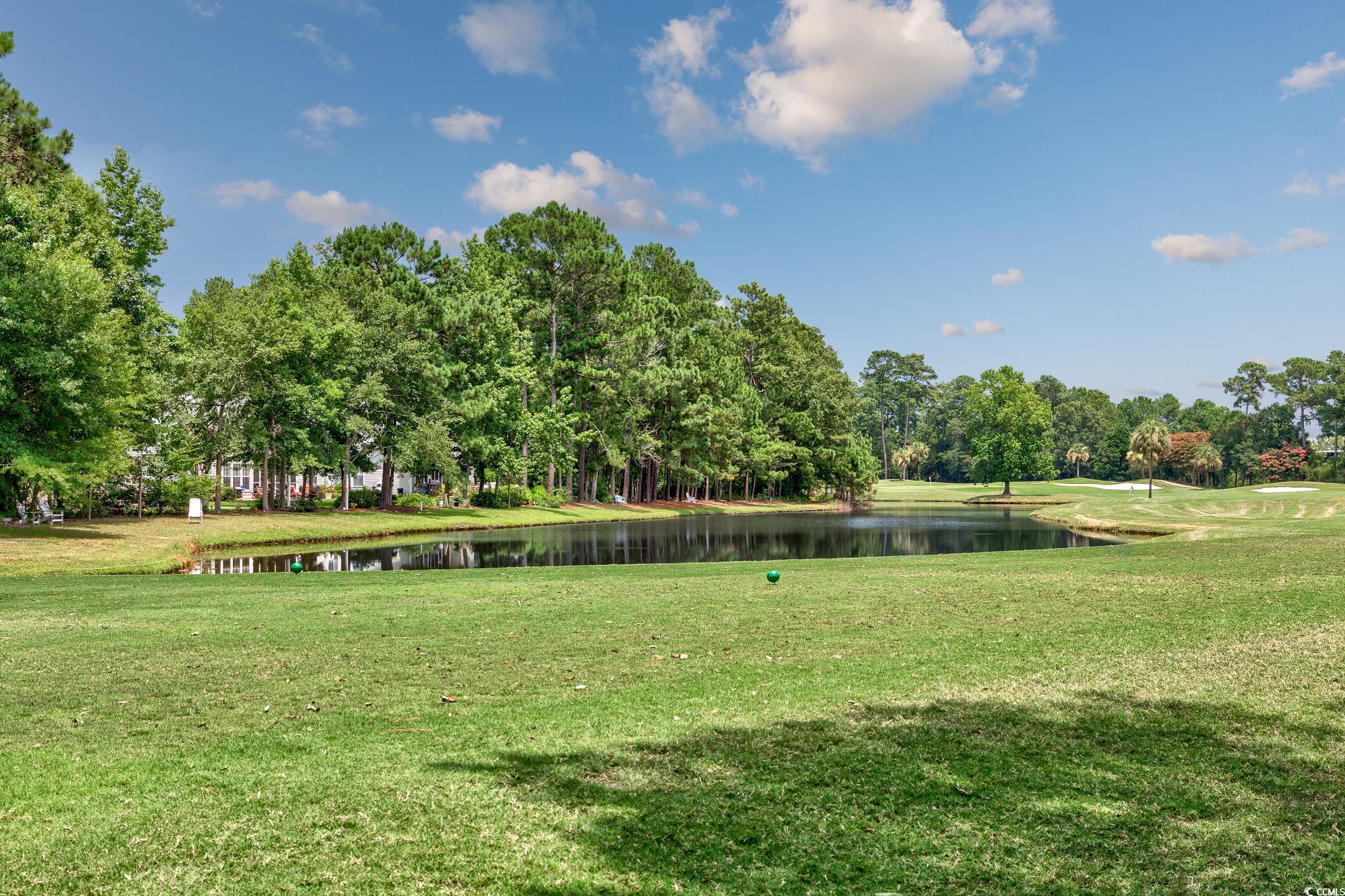 119 Herrmann Ridge Myrtle Beach, SC 29579 - Photo 36 of 40 Gallery Image 36