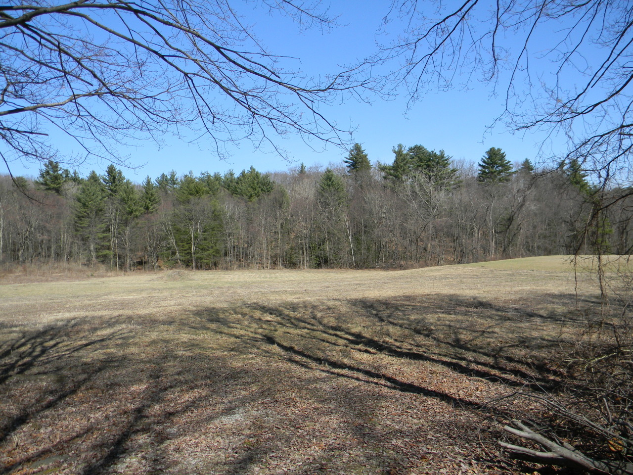 Hulett Hill Road Sheffield, MA 01257 - Photo 1 of 4 View From Road