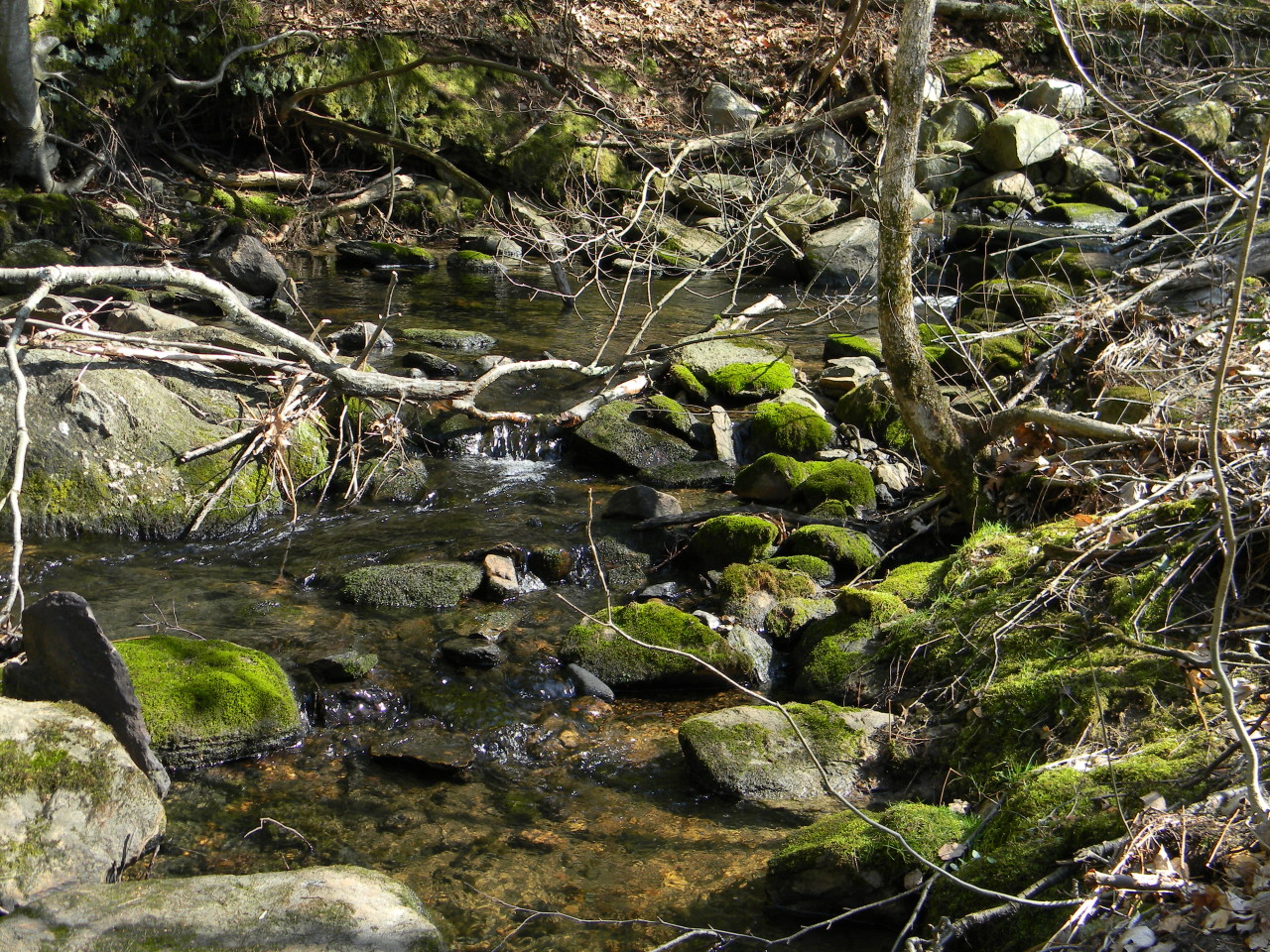 Hulett Hill Road Sheffield, MA 01257 - Photo 2 of 4 stream in back