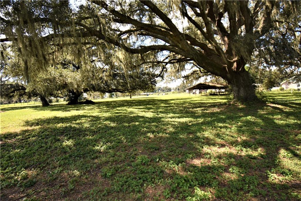 8822 Fort King Road Zephyrhills, FL 33541 - Photo 1 of 1 Gallery Image 1
