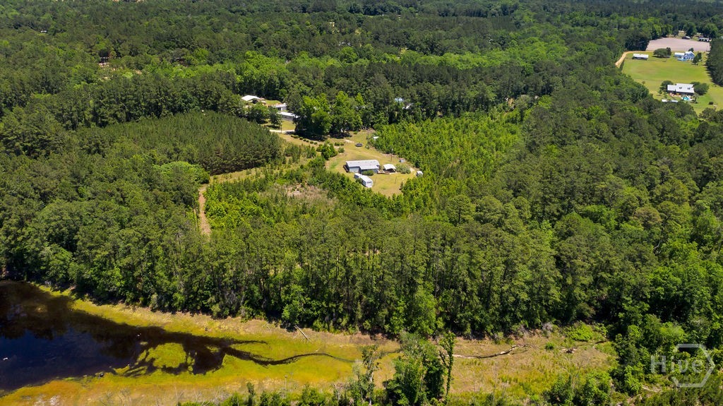 443 Reiser Road Springfield, GA 31329 - Photo 53 of 75