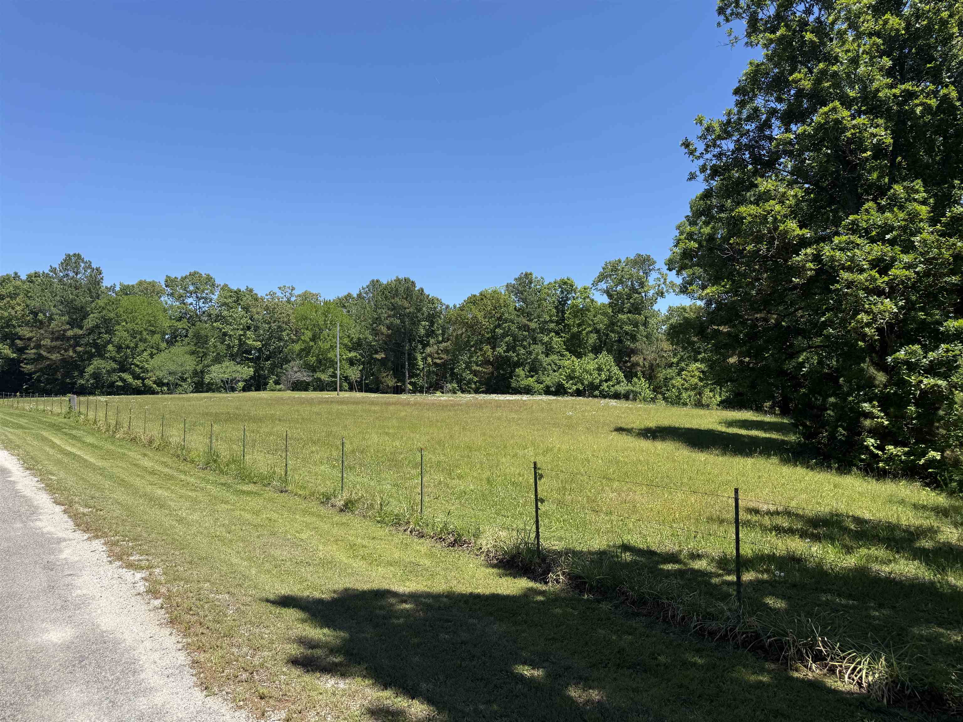 3990 Monk House Road Somerville, TN 38068 - Photo 22 of 26 a view of a field with an trees