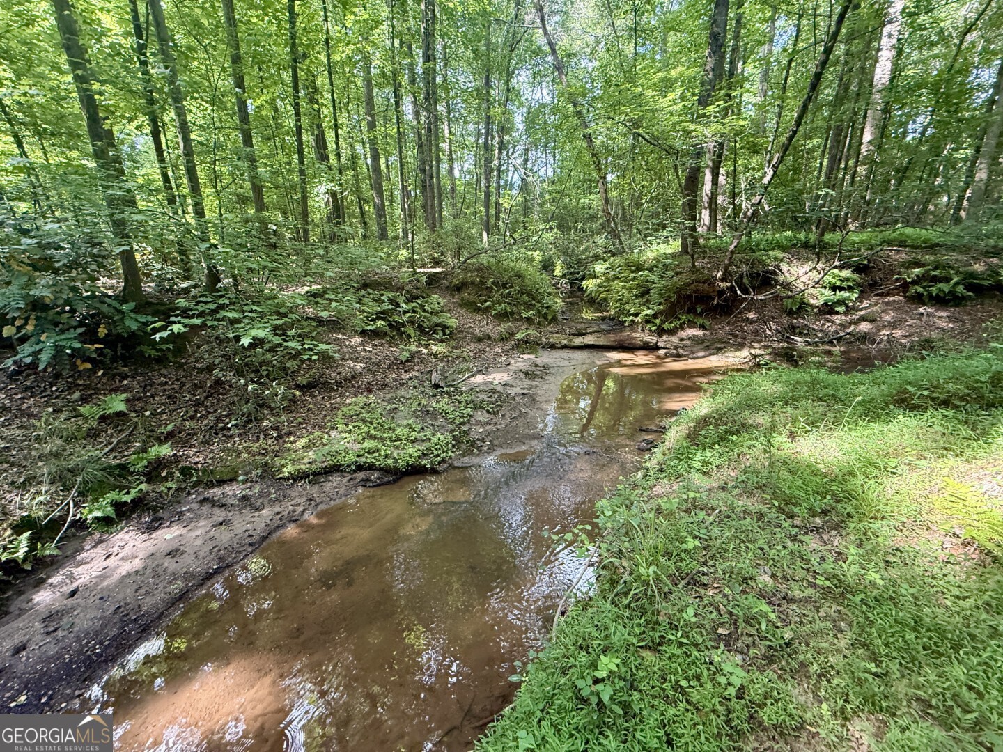 1298 Ray Weaver Road Canon, GA 30520 - Photo 40 of 40