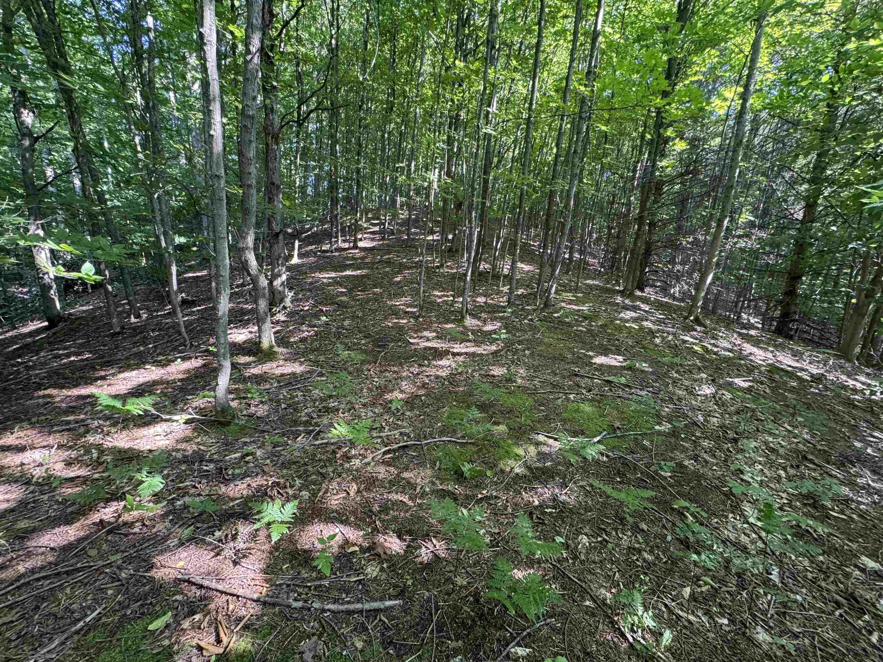 Lot #6 East Bellinger Road, Unit 6 BELLINGER ESTATES (FIN) Cedar, MI 49621 - Photo 19 of 34