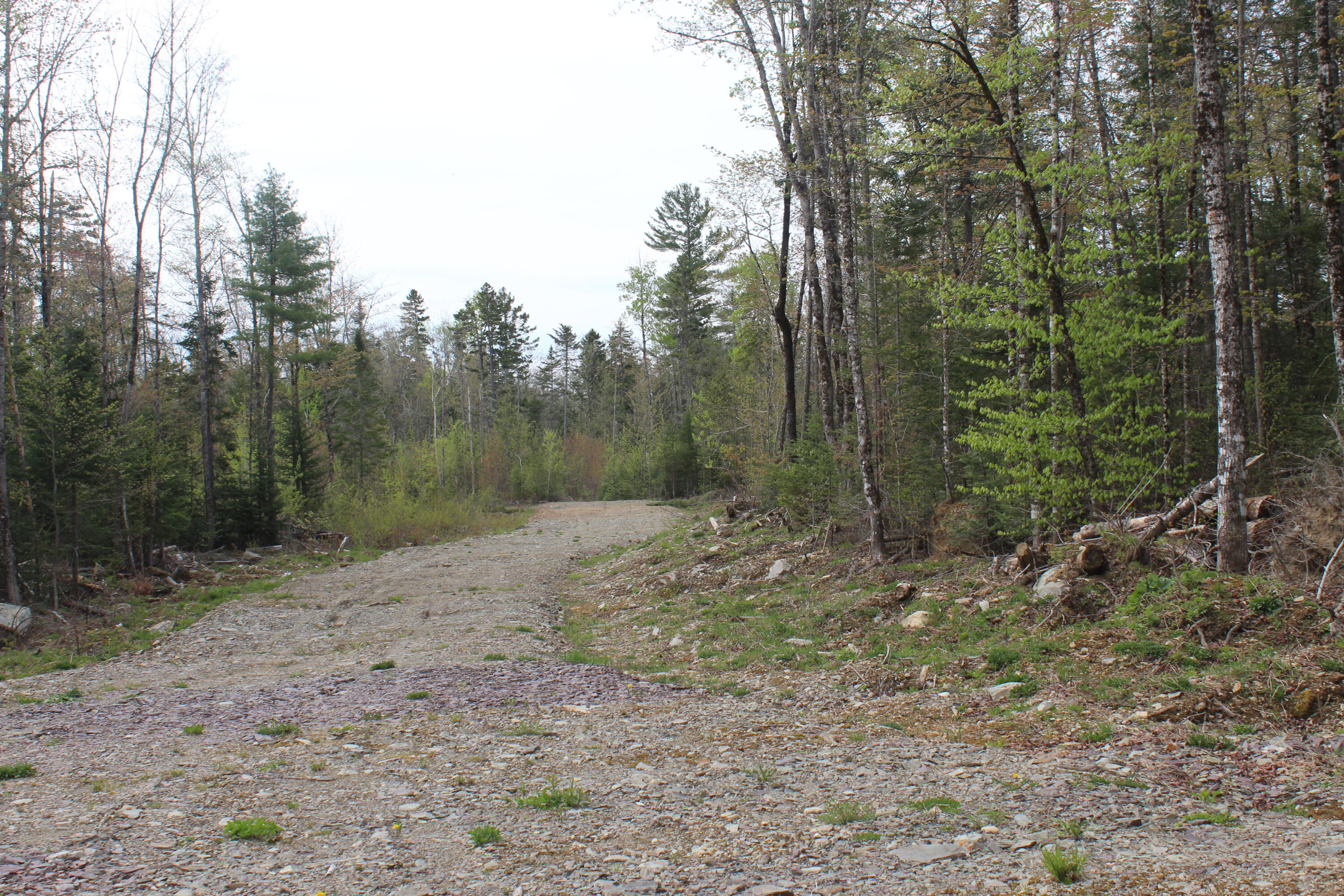 M4-l2 Laskey Road Houlton, ME 04730 - Photo 2 of 20 IMG_5007