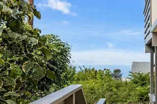a view of a yard with plants and a building