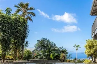 a view of a plant in front of a building
