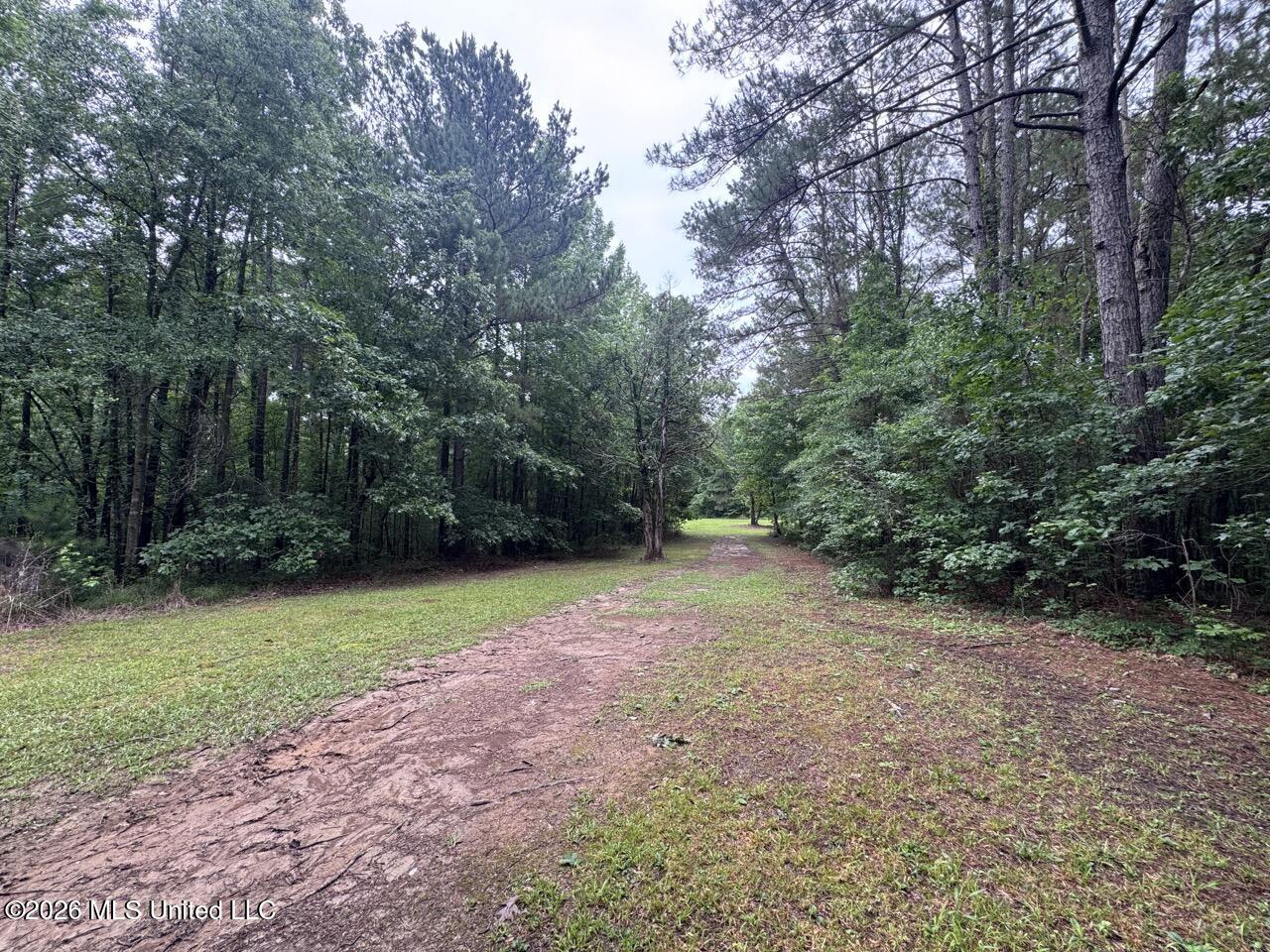 2986 Oldenburg Road Meadville, MS 39653 - Photo 27 of 44 IMG_3532 Large