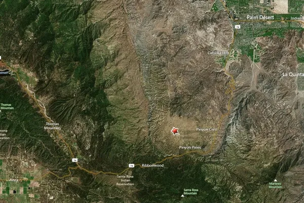 a view of a tree with a yard