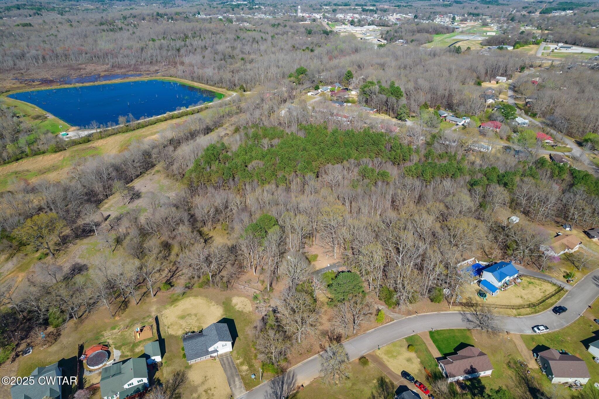 0 Dodd Street Lexington, TN 38351 - Photo 1 of 16 a view of yard