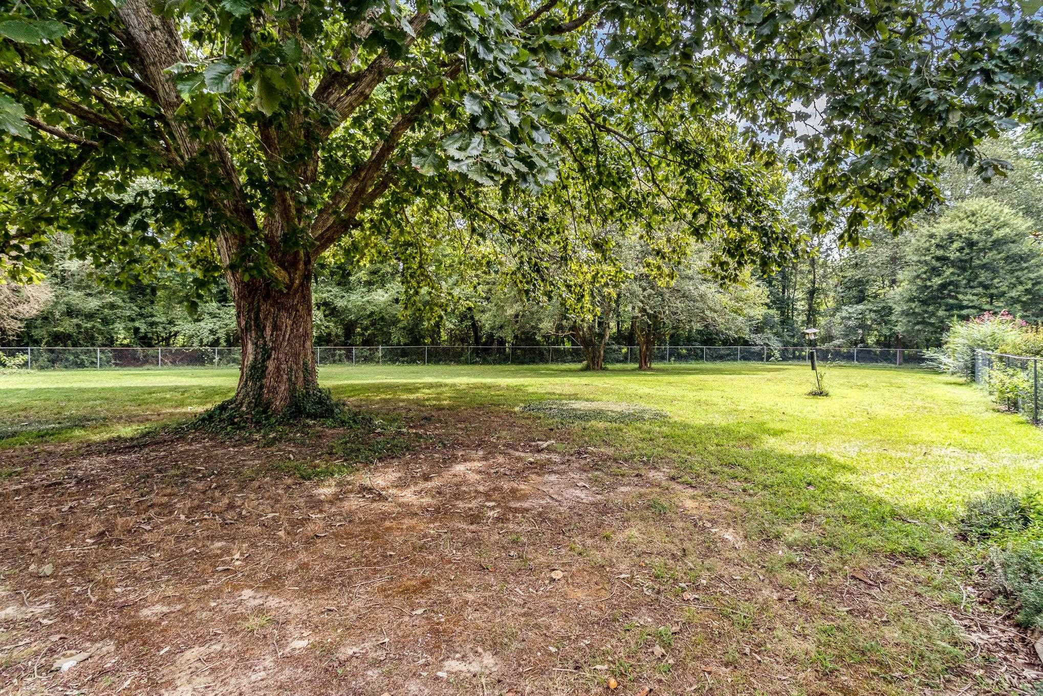 4800 Kyle Drive Raleigh, NC 27616 - Photo 12 of 36 a view of a garden with a tree