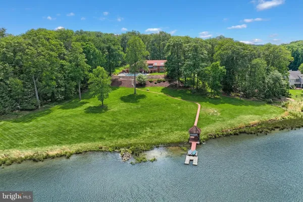 a view of a park with large trees