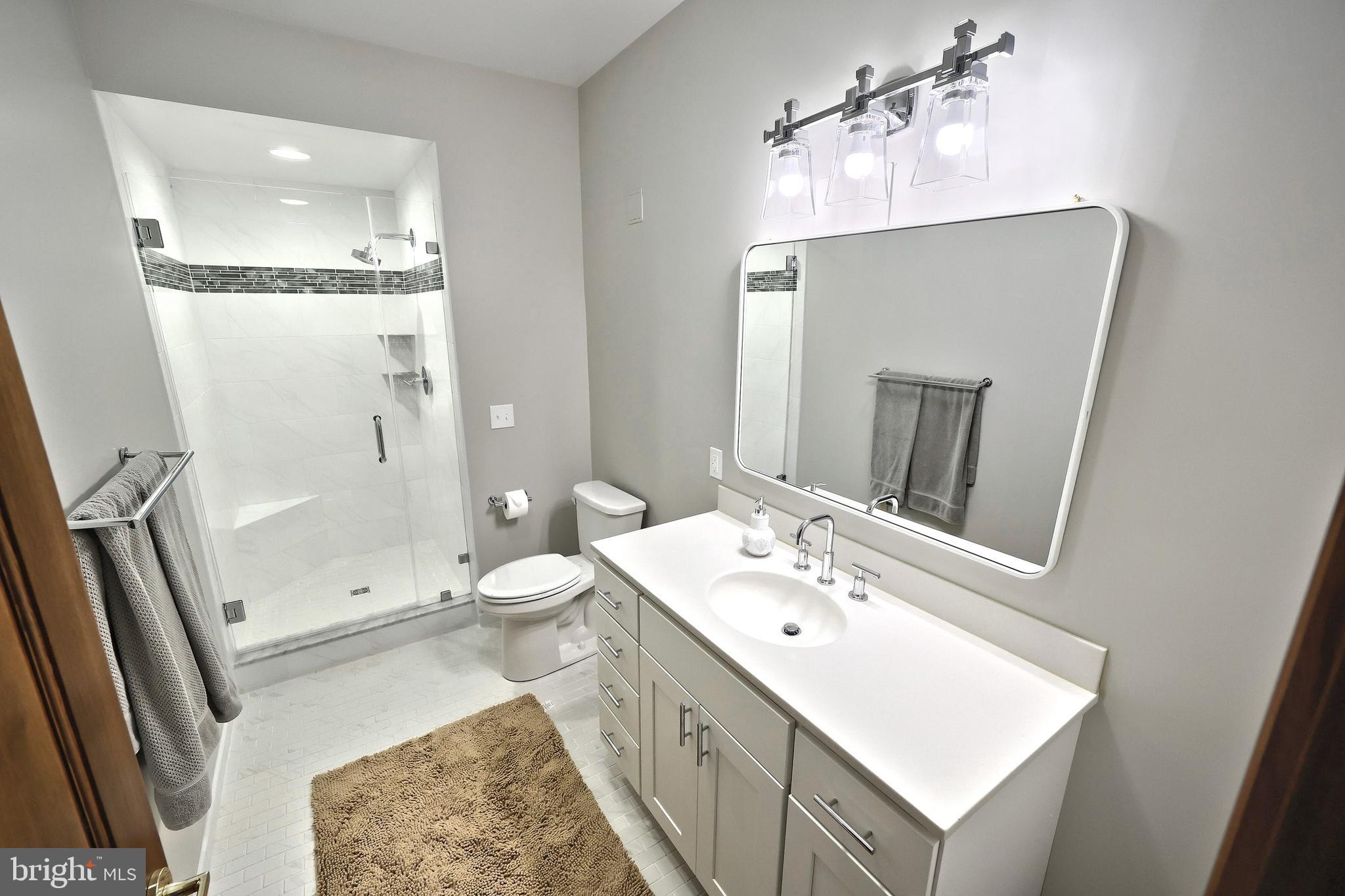 174 Springhouse Lane Spring Grove, PA 17362 - Photo 73 of 95 new full bath lower level #4