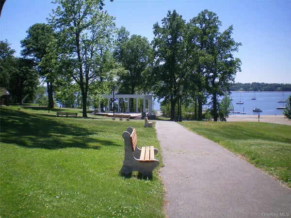 a view of a park with large trees