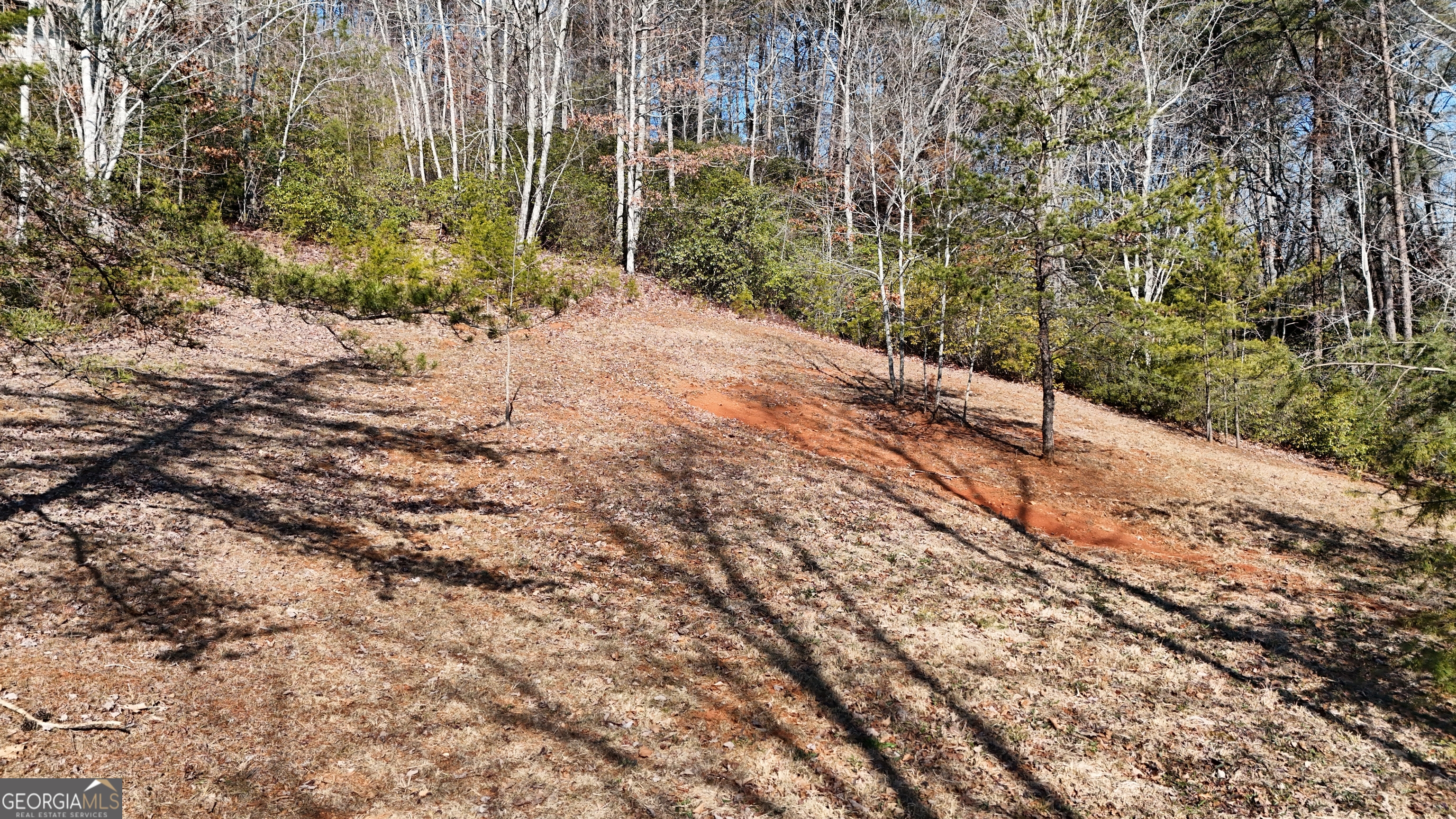 120 Ridgeland Sautee Nacoochee, GA 30571 - Photo 66 of 66