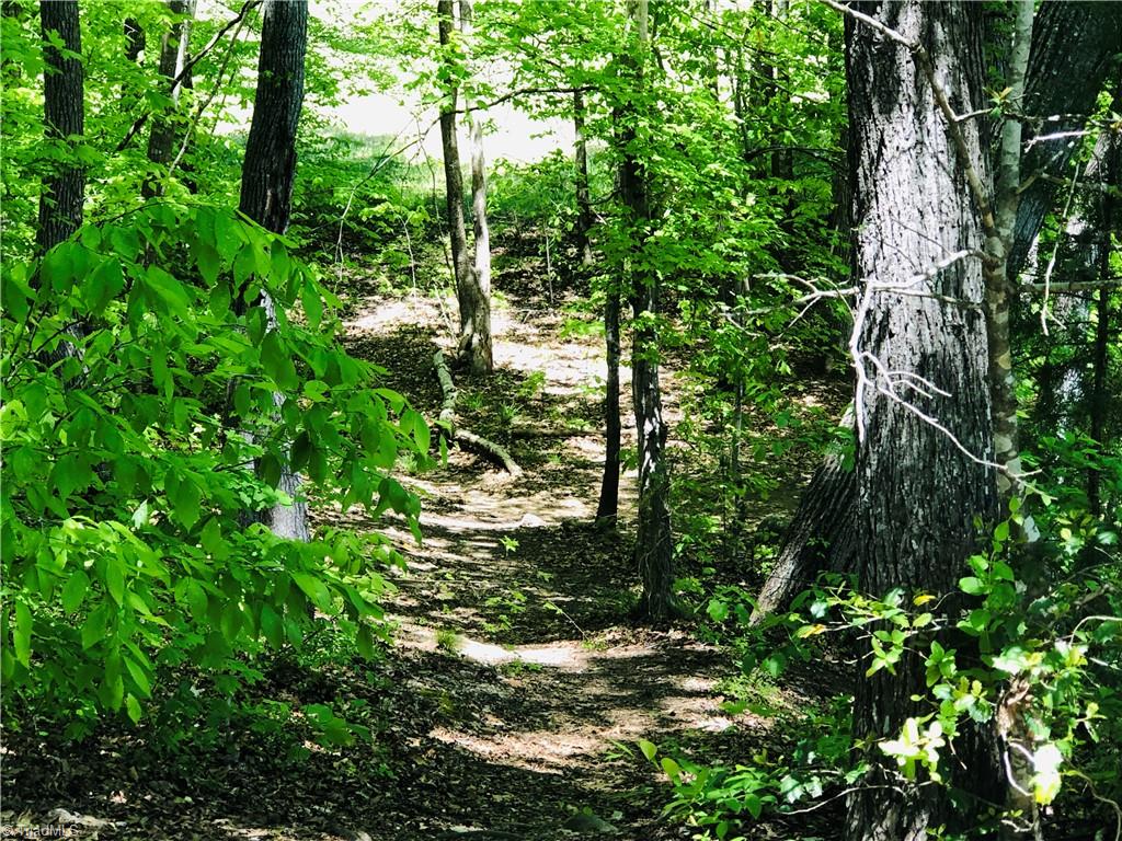 150 Jd Essick Road Lexington, NC 27295 - Photo 48 of 49 City Lake offers wonderful walking trails through the woods by the lake