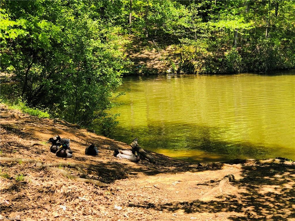 150 Jd Essick Road Lexington, NC 27295 - Photo 49 of 49 Even the ducks enjoy the lake!