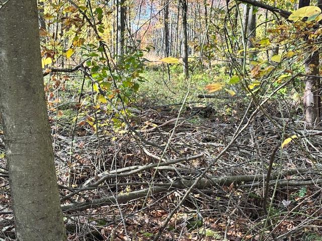 2021 Panic-Knoxdale Road Reynoldsville, PA 15851 - Photo 12 of 16