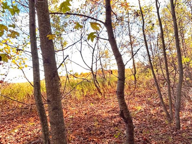 2021 Panic-Knoxdale Road Reynoldsville, PA 15851 - Photo 7 of 16