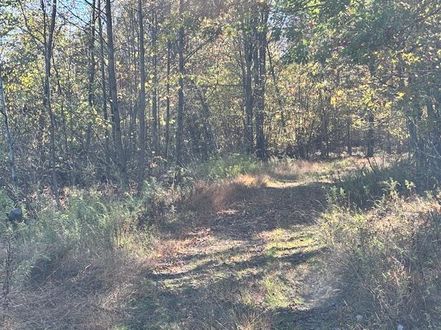 2021 Panic-Knoxdale Road Reynoldsville, PA 15851 - Photo 10 of 16