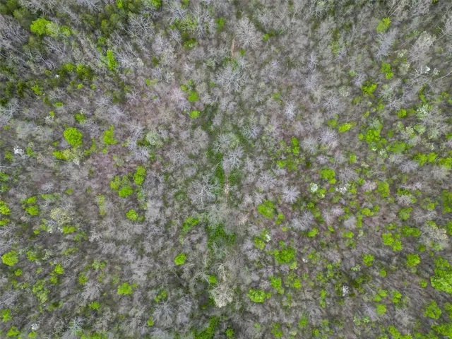 $59,949 | 0 Creek Road, Hartville, MO 65667